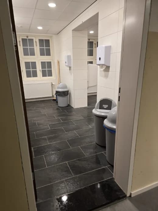 Woningreiniging villa